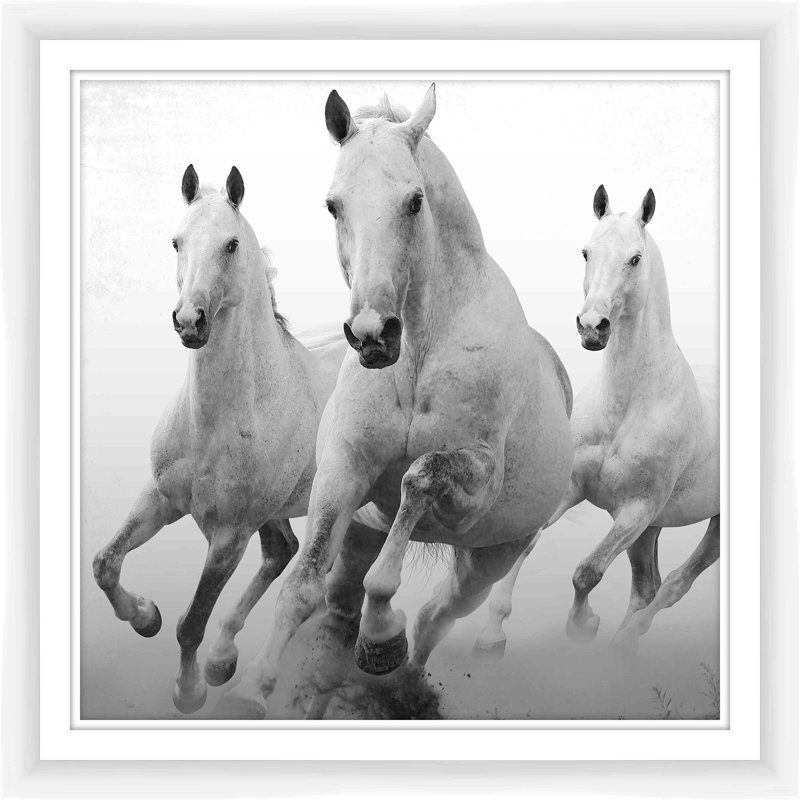PTM Three Horses Framed Giclee Print Wayfair